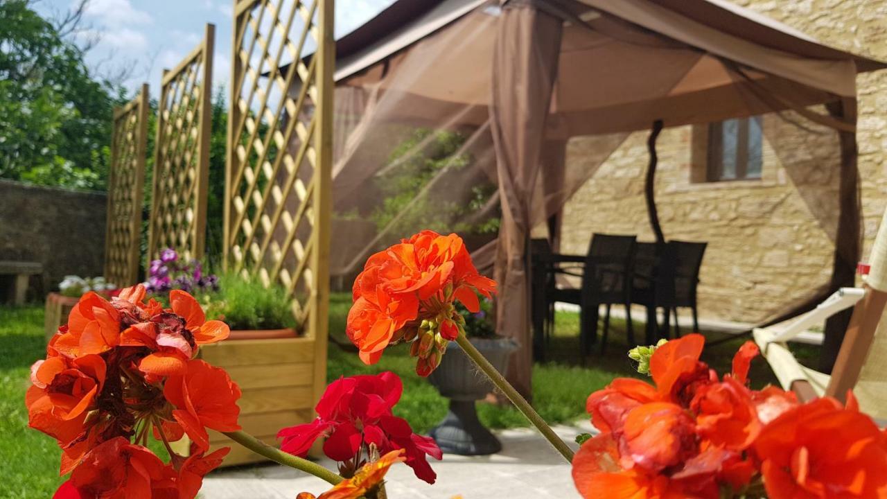 San Paterno B&B Rapolano Terme Exterior photo